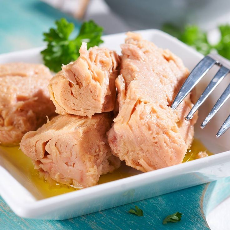 Wholesale Iranian Canned Tuna for African Union Food Procurement; Bulk Supply, Transparent Documentation, Competitive Pricing